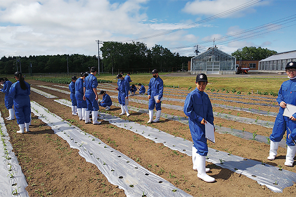 学園農場